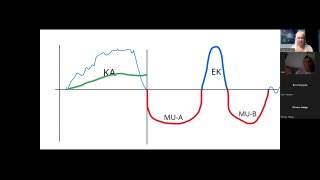 Kiút a cukorbetegség és az IR fogságából